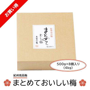 ܂Ƃ߂Ă~ 500g×8pbN a̎R IB썂~ ~ I ~ i yY p 䒆 Ε hV̓ v[g ̓ 2024