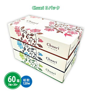 {bNXeBbV uChuari ゠ 120Wv 60(3P×20Zbg) ܂Ƃߔ 3A\[g FSCF؍ގgp GR ̑  v[g ei ii LOi T mxeB  zz v`Mtg 