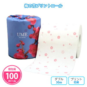 gCbgy[p[ u~̉ԃvg[v 100 ܂Ƃߔ  _u 30m vg t ԕ  a ii LOi T ei mxeB v[g v`Mtg p  