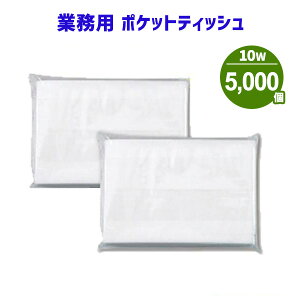 �Ɩ��p �|�P�b�g�e�B�b�V�� 10W 5000�� �܂Ƃߔ��� �|�P�b�g�t�� ���n ���� �p���v100% �̑��p �L���p �m�x���e�B �e�i �i�i ���T ���