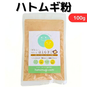 _Y ngM 100g Y  ngM pE_[ ͂Ƃނ ngMpE_[ NCj