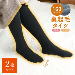 婦人 裏起毛タイツ　2枚組【ポスト投函配送無料】あったか 160デニール 黒 内側起毛 お買い得 セット レディース イ