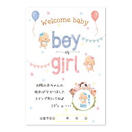 ジェンダーリビール カード 3枚 サプライズ 専用封筒付き 性別 発表 男の子 女の子 事前購入用