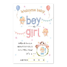 ジェンダーリビール カード 3枚 サプライズ 専用封筒付き 性別 発表 男の子 女の子 事前購入用