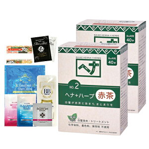 yŋzzylR|XzyɑIׂv[gtzyїEJ[g[ggziCA[h wi(NAIAD HENNA) 100g(ܕt)x2Zbg wi+n[u - ɗDVR