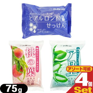 yŋzzylR|XzyA΂fngpzyJΌ CX`[\[v 75g x4Zbg (̗tEAGEqA_I) - }ChȐ􂢏オ