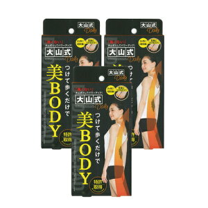 yŋzzylR|XzyNwpbhzR{fBCNpbh fC[(Body Make Pad Daily) ( v~A PREMIUM) x3ysmtb-sz