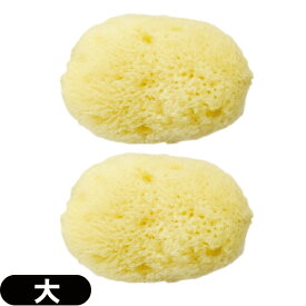 ◆【最強翌日配送】【ネコポス送料無料】【天然スポンジ】ユタカ 天然海綿スポンジ(フェイススポンジ) 大(約5~7cm)x2個セット/(NATURAL SEASPONGE ナチュラル・シースポンジ) ※完全包装でお届け致します。【smtb-s】