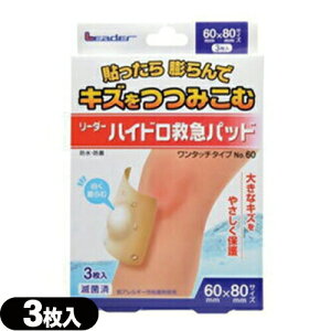 ynChRChfJnpz[_[nCh~}pbh(3) ^b`^Cv No.60(60x80mm)