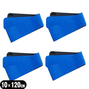 yŋzzylR|XzyLkQzyK㗝XzAVXg(ASSIST) ЍL}WbNxg u[10×120cm (100×1200mm) x4Zbg - ]̃}WbNxg̐i!nE^