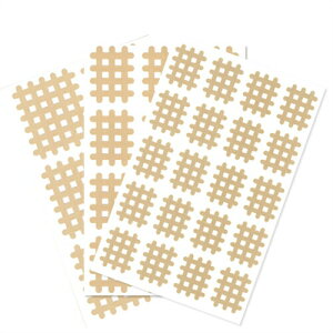 y[({X) |Xg zyXpC̓czGNZXpCe[v p(trialversion1)AEBEC^Cv e1Zbg(v338s[X) - ł^Cv̐LkSe