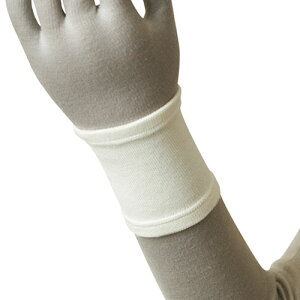 y[({X) |Xg zypT|[^[zT|[ GXLA(S+CURE) C[W[T|[^[ [\tg] t[TCY  - \tgȔŐLkEzEێ