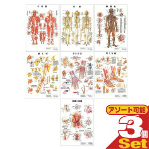 yz㓹̓{ l̉Uw`[g |X^[ Iׂ3Zbg plȂ