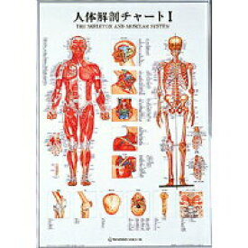 人体解剖チャートI(SR-111)
