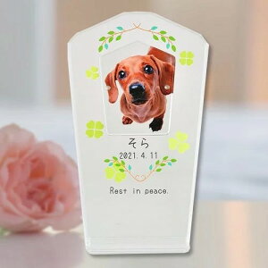 A@AN@ʐ^ā@c@ yIWiI[_[i@OKz