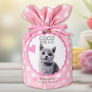 A@Jo[@tvg@3`5@yIWiI[_[i@OKz