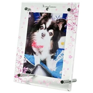 ANtHgt[@c^@LTCY@sN@yF̕XIWiz