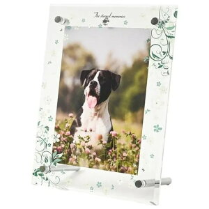 ANtHgt[@c^@LTCY@O[@yF̕XIWiz