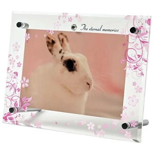 ANtHgt[@^@LTCY@sN@yF̕XIWiz