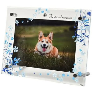 ANtHgt[@^@LTCY@u[@yF̕XIWiz