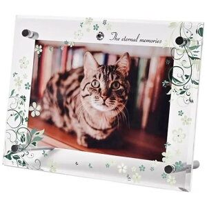 ANtHgt[@^@LTCY@O[@yF̕XIWiz