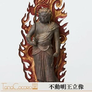 TanaCOCORO[] s