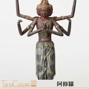 TanaCOCORO[] C