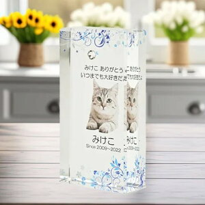 NX^ʔv@@SOU@u[@yIWiI[_[iz