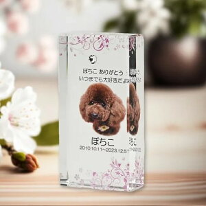 NX^ʔv@@SOU@sN@yIWiI[_[iz