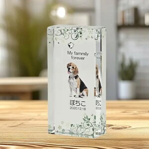 NX^ʔv@@SOU@O[@yIWiI[_[iz