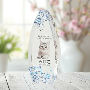 NX^ʔv@@SHIZUKU@u[@yIWiI[_[iz