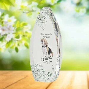 NX^ʔv@@SHIZUKU@O[@yIWiI[_[iz