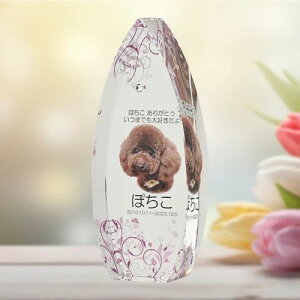 NX^ʔv@@SHIZUKU@sN@yIWiI[_[iz