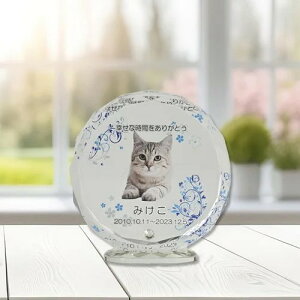 NX^ʔv@Ƃ@TOWA@u[@yIWiI[_[iz