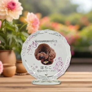 NX^ʔv@Ƃ@TOWA@sN@yIWiI[_[iz