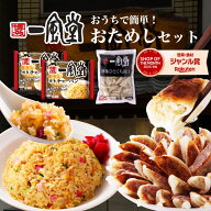 【餃子1チャーハン2】総合ランキング1位 一風堂 ひとくち 餃子 チャーハン お取り寄せ 冷凍 一口 大容量 …