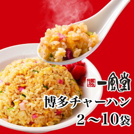 一風堂 チャーハン 冷凍 選べる 2~10人前 1袋230g 炒飯 選べる大容量 訳あり 博多 冷凍 お弁当 おかず 子供 人気 簡単 マラソン 買い回り まとめ買い お得 新発売 新商品 おうちでIPPUDO