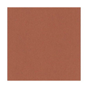 �i�܂Ƃ߁j�����e�b�N �j���[�J���[R �l�� ���Ⴂ�� 4NCR-236 1�p�b�N(100��)�y×5�Z�b�g�z