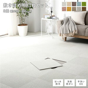 t@ubNtA^C ~lߗp 81Zbg ]ˊԁEcn8 352×440cm(40×40cm×81) ItzCg  h_j h g[Ή 􂦂ysz