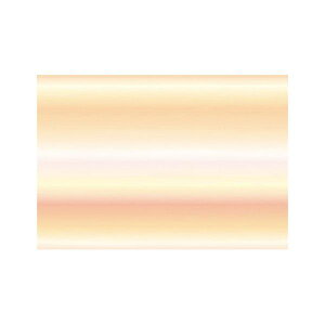 }R[ p Ɩp 3O(ڂ)΂܂ HF (100) yamaco66684