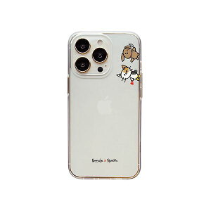 Dparks \tgNAP[X for iPhone 14 Pro ł wʃJo[^ DS24148i14P