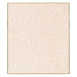 i܂Ƃ߁j~h F 33137006 ܉ԕsNy×10Zbgz