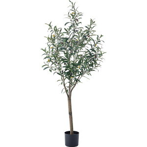 tFCNO[ ϗtA I[u 44×s44×152cm rO X Vbv CeAG