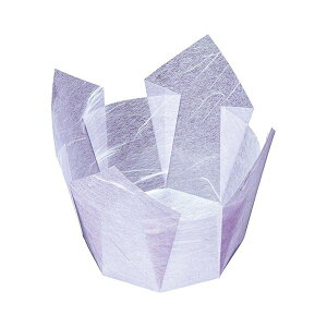 }R[ p Ɩp OP _  100 yamaco66400