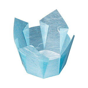 }R[ p Ɩp OP _  (100) yamaco66401