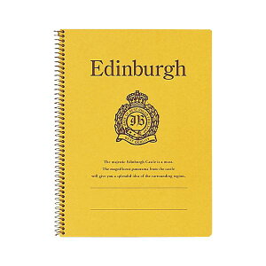 i܂Ƃ߁j LNgEEA\VGCc XvOm[g GWo P513 1 y×10Zbgz