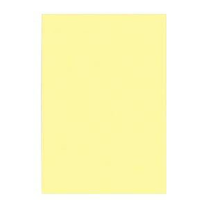 i܂Ƃ߁j ^ j[J[R c 271×c392mm 8NCR-134 CgCG[ 100 y×2Zbgz