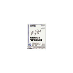 (ƖpZbg) Rs[v^p zCg^Cv B5F100 W-13y×10Zbgz