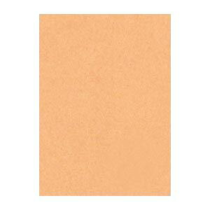 i܂Ƃ߁j ^ j[J[R lc 392×c542mm 4NCR-109  100 y×2Zbgz