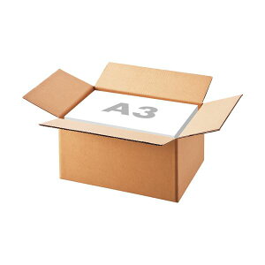 (まとめ)TANOSEE 無地ダンボール箱 A3(L)サイズ 軽量タイプ 高さ250mm 1パック(10枚) 【×5セット】